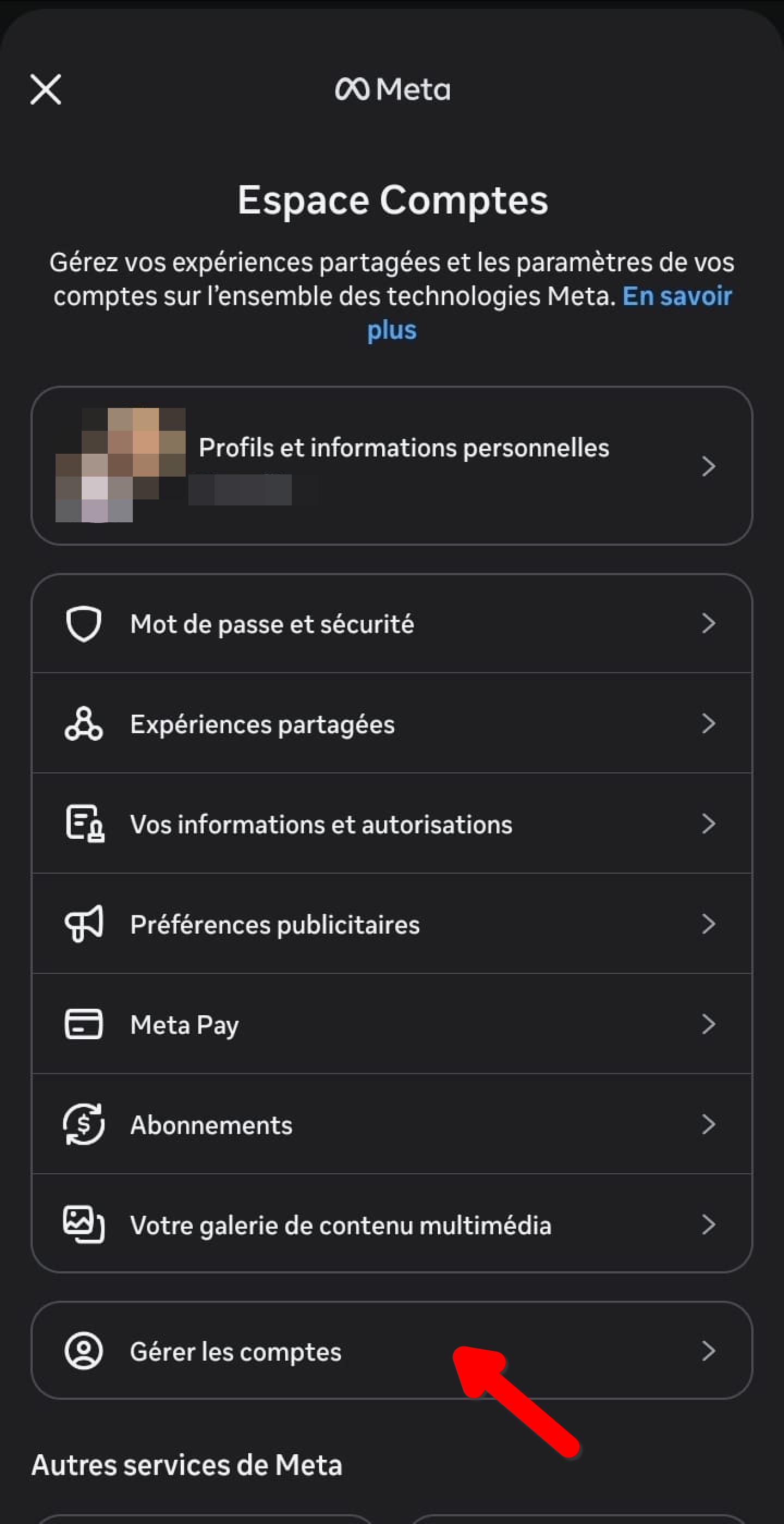 Écran Espace Comptes Meta, option Profils et informations personnelles
