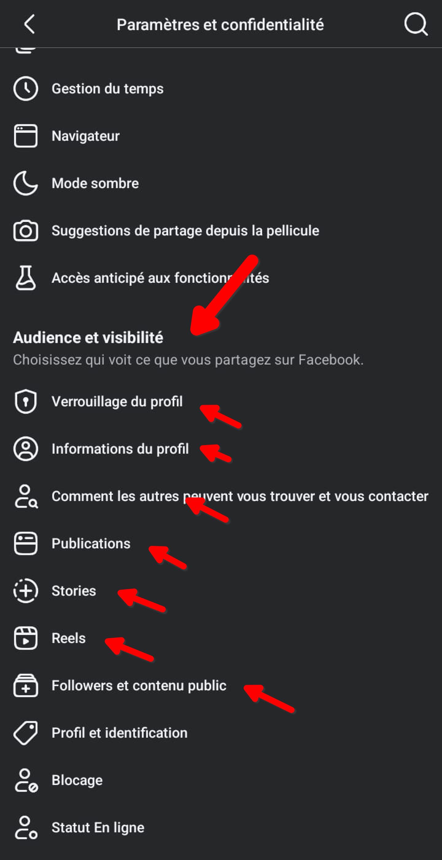 Écran Paramètres et confidentialité, section Audience et visibilité