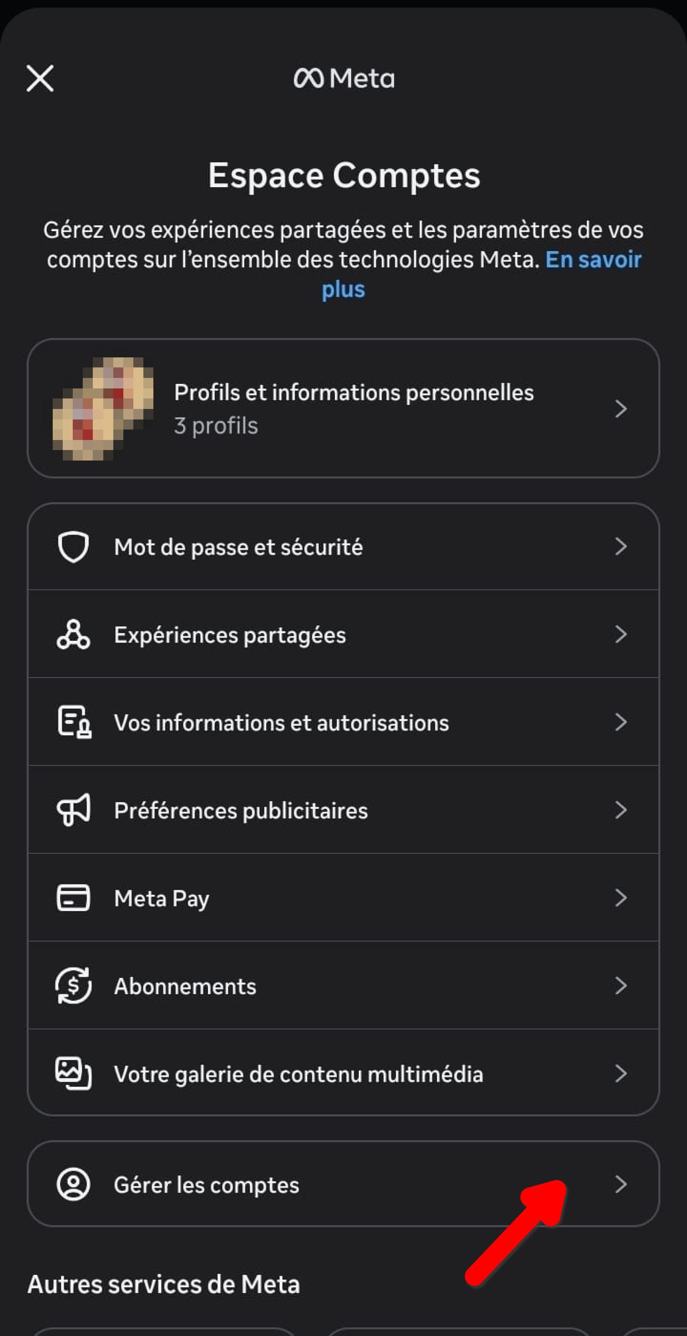 Écran Espace Comptes Meta, option Profils et informations personnelles