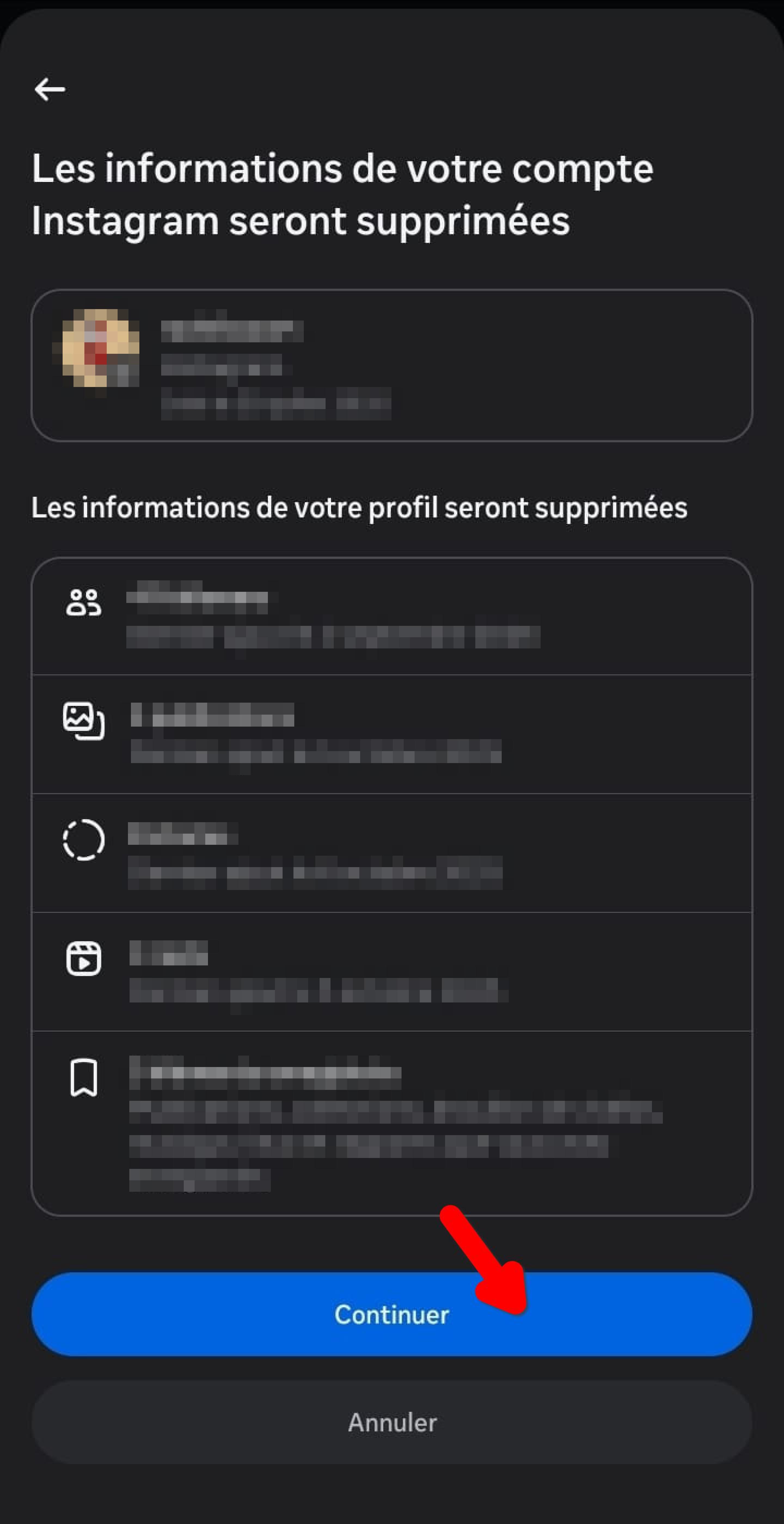 Récapitulatif des données Instagram qui seront supprimées